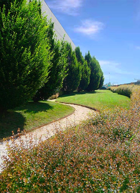 Progettazione giardini aziendali